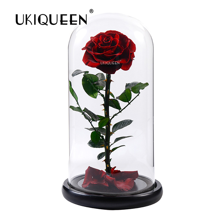 Red Glass Dome Belle Magic Glass Permanent Preservation Rose Belt Gift Box